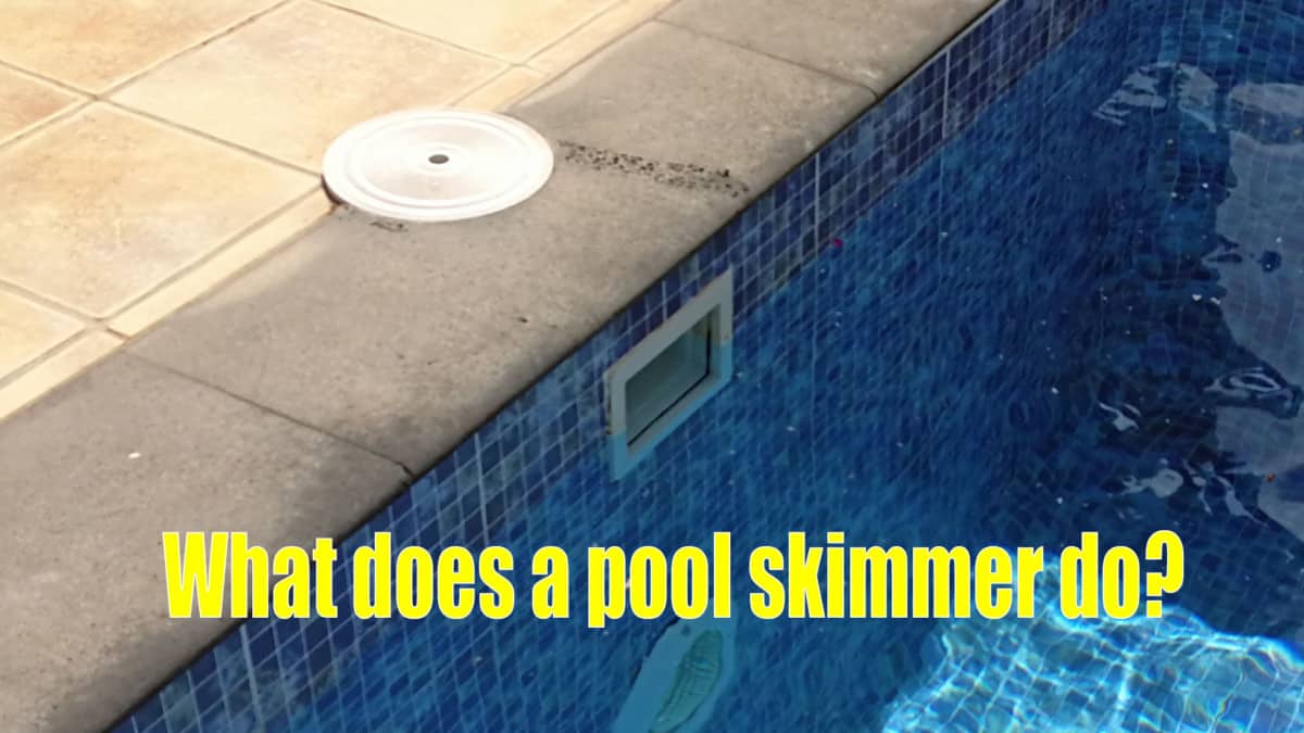 What Is a Pool Skimmer and What Does a Pool Skimmer Do?