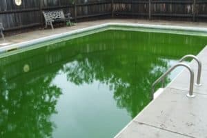 shocked pool and it turned green