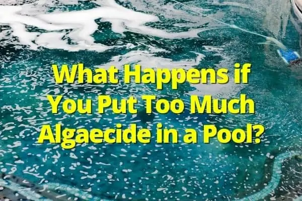 What Happens If You Put Too Much Algaecide in Pool?