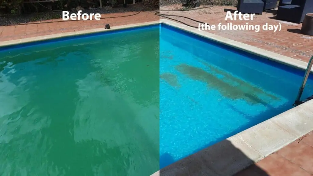 Algae 101: Get Rid of Green, Mustard and Black Algae in Pool 1