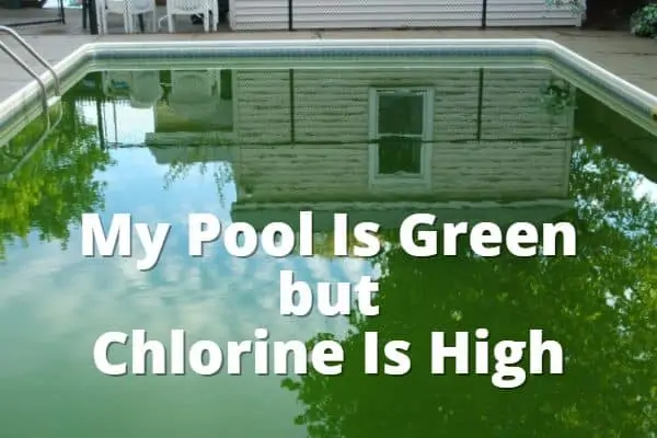 My Pool Is Green but Chlorine Is High. Why and How to Fix?