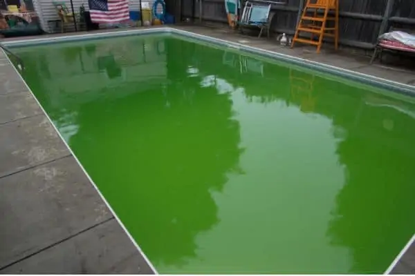 My Pool Is Green but Chlorine Is High