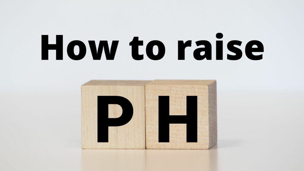 how to raise ph in pool