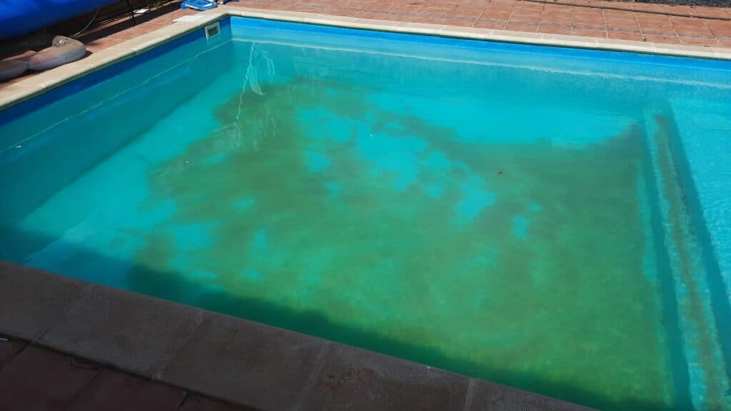 how to kill pool algae