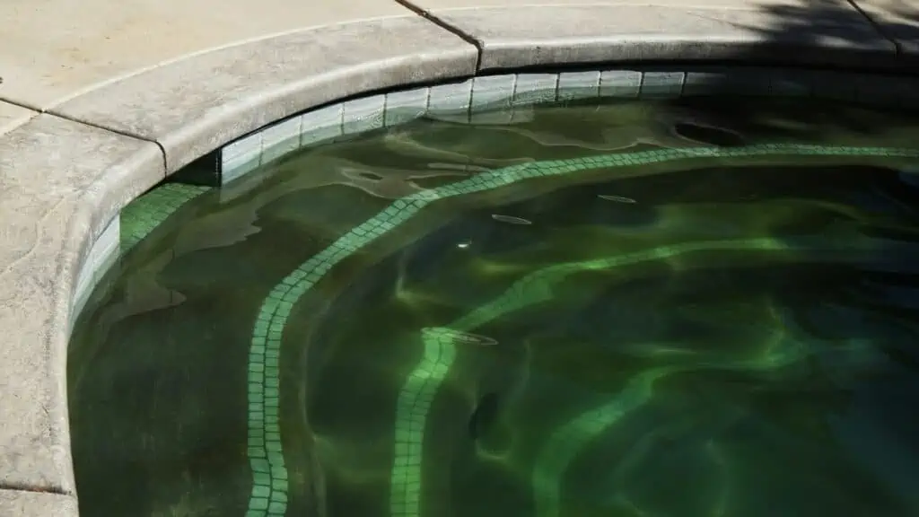 how to kill algae in pool