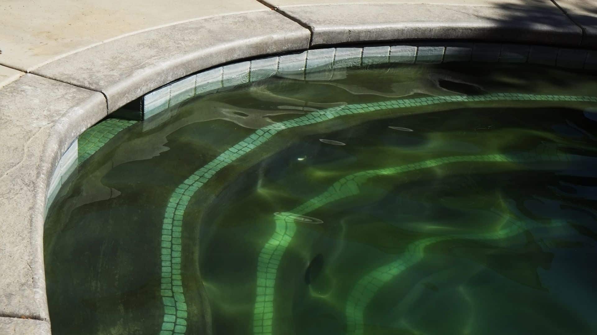 How to Get Rid of Algae in Pool Quickly Easy Pool Cleaning