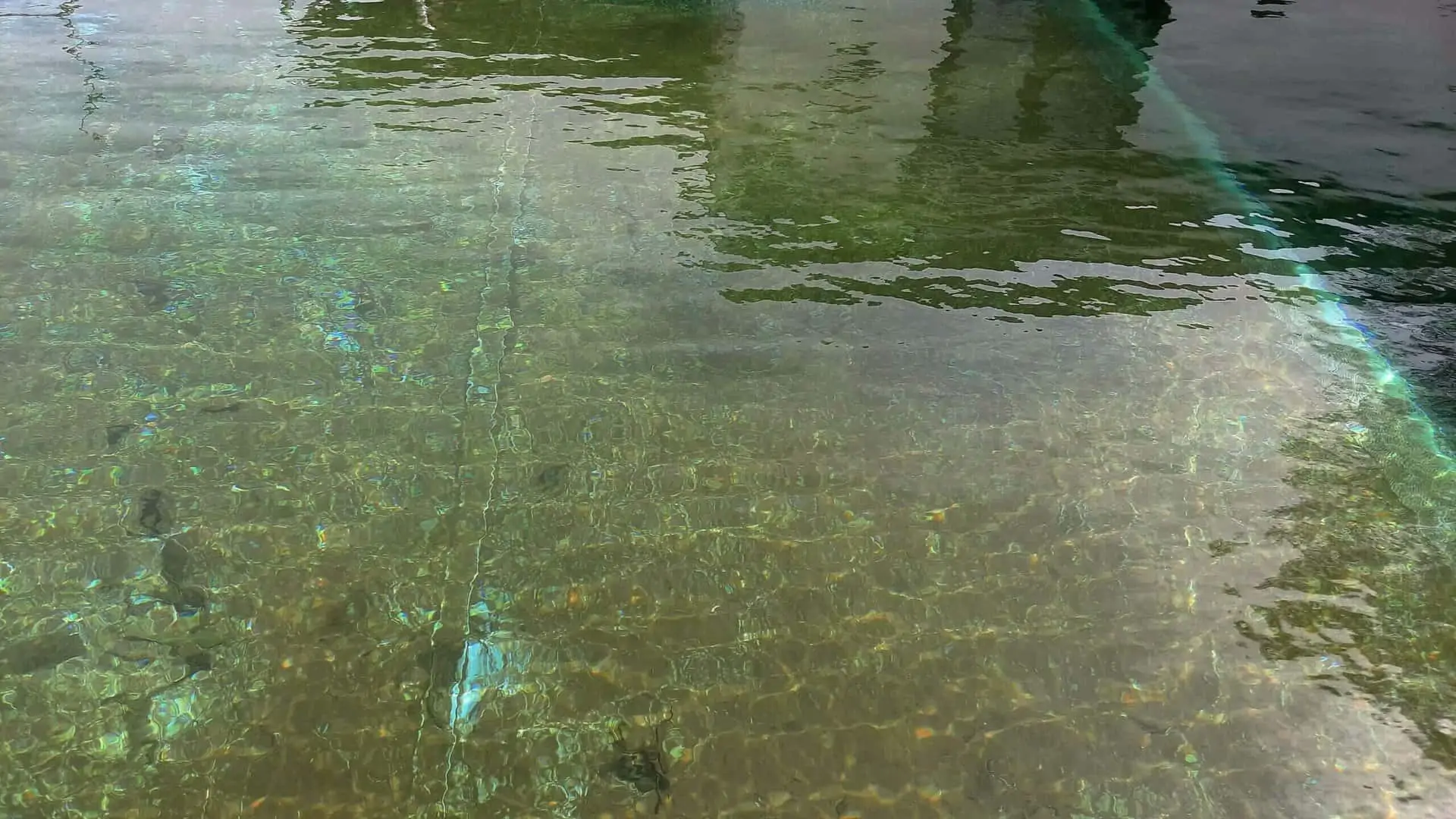 How to Get Rid of Algae Dust in a Pool