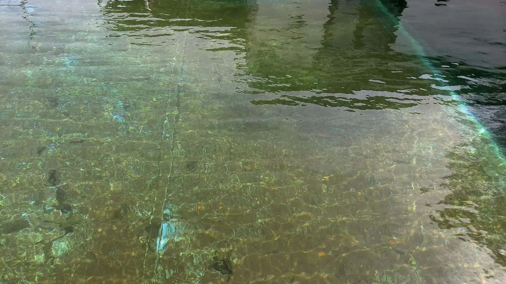 How to Remove Algae Dust in a Pool (in 30 Minutes)