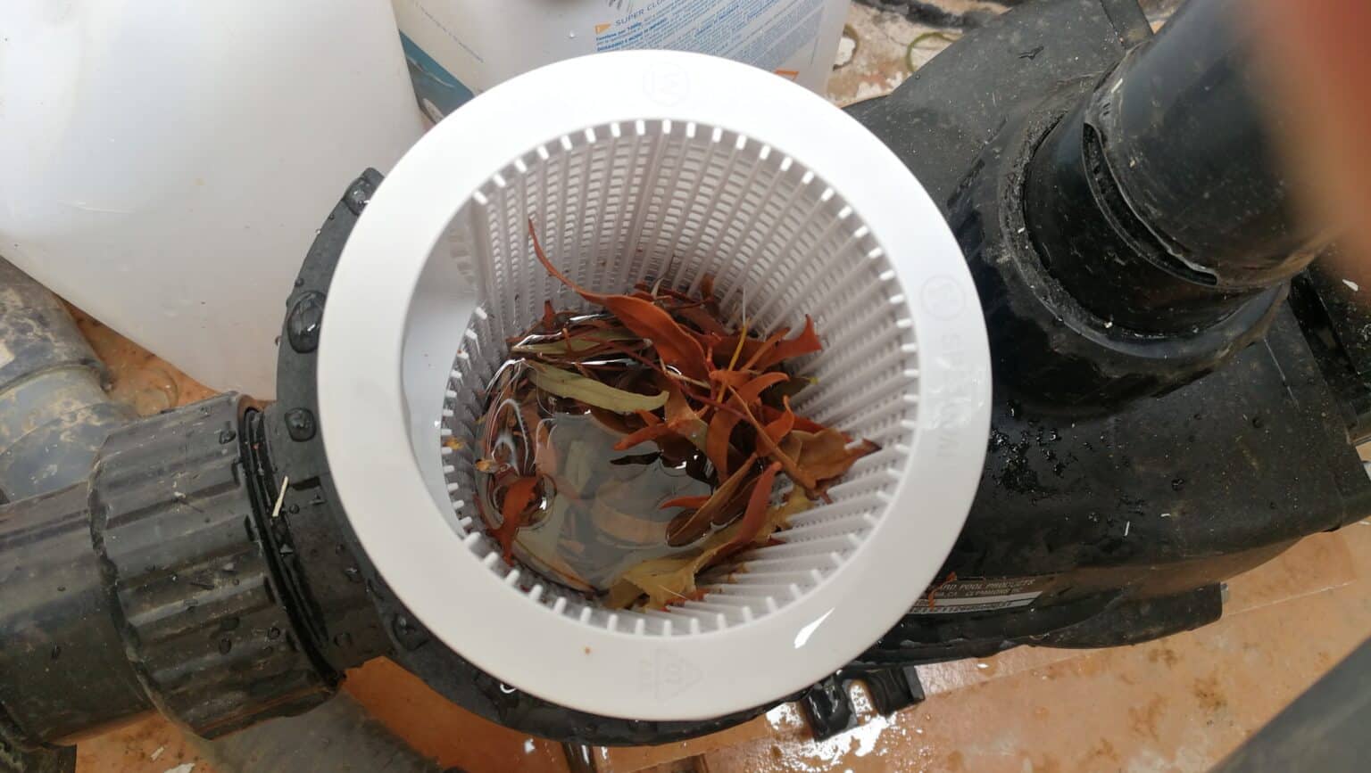 How to Clean a Pool Pump Basket (Without Getting an Airlock)