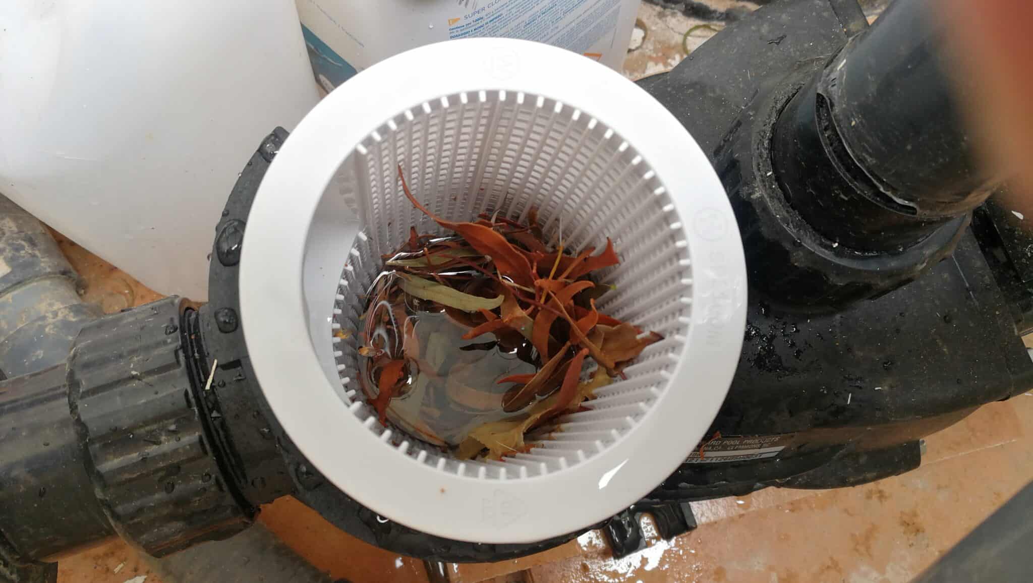 How to Clean a Pool Pump Basket (Without Getting an Airlock)