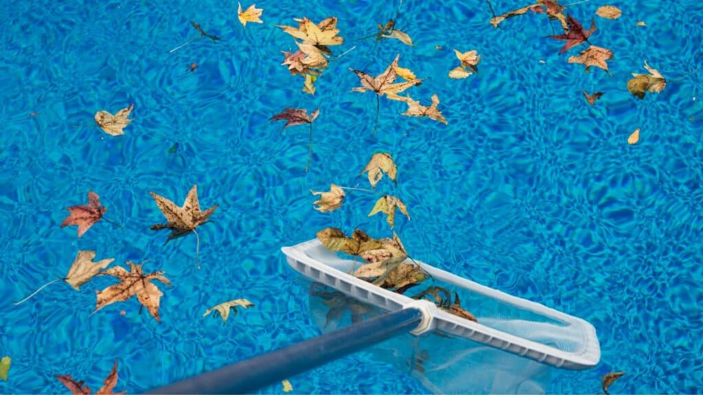 clean a pool using a pool net
