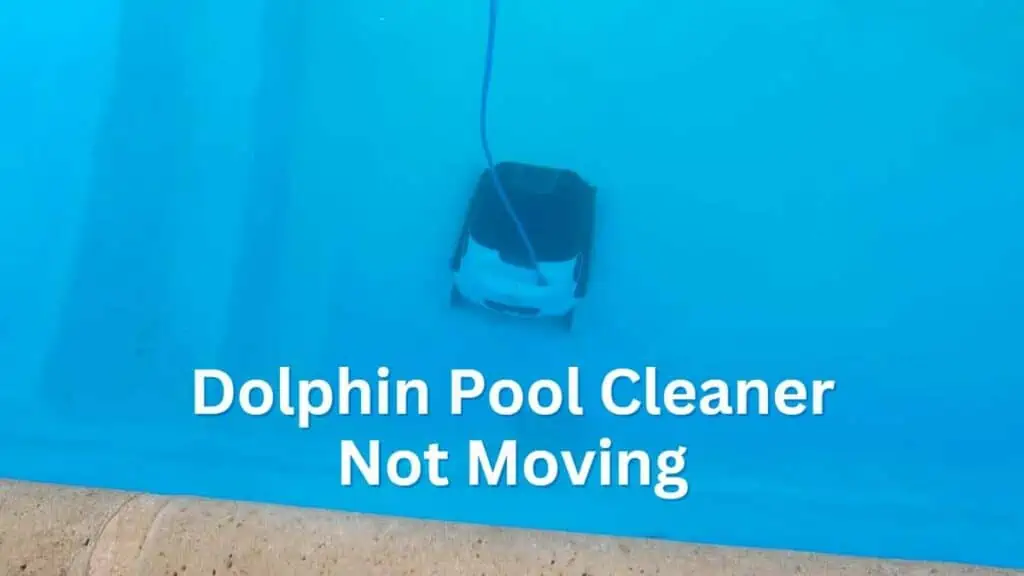 Dolphin Pool Cleaner Not Moving