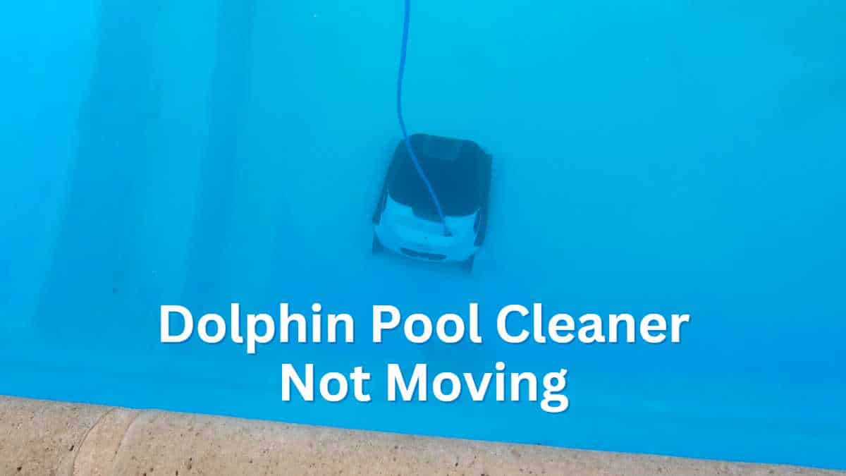 Dolphin Pool Cleaner Not Moving Troubleshoot the Issue Now 