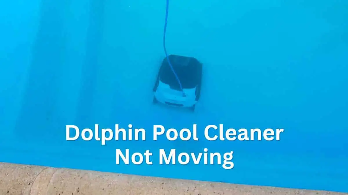 Why Is My Dolphin Pool Cleaner Not Moving?