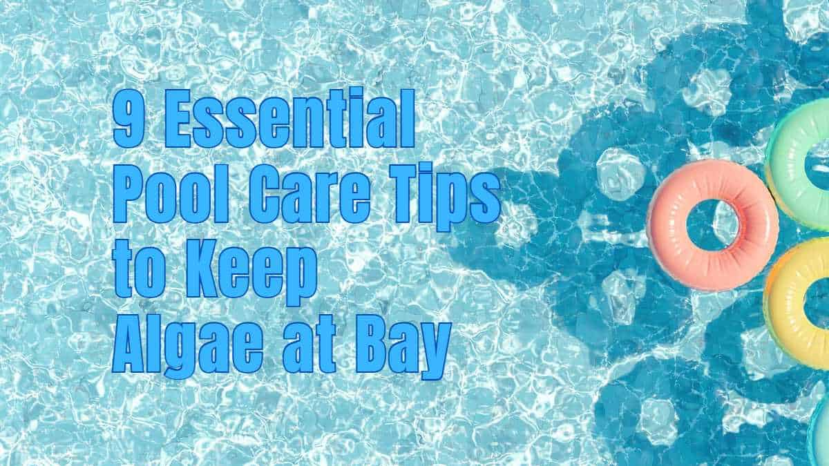 9 Essential Pool Care Tips to Keep Algae at Bay