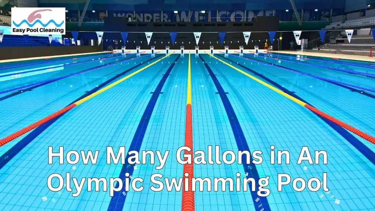 How Many Gallons Are in An Olympic Size Swimming Pool?