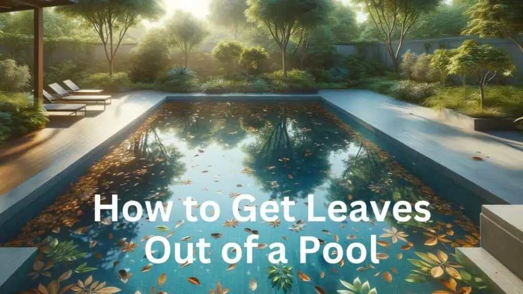 How to Get Leaves out of Pool