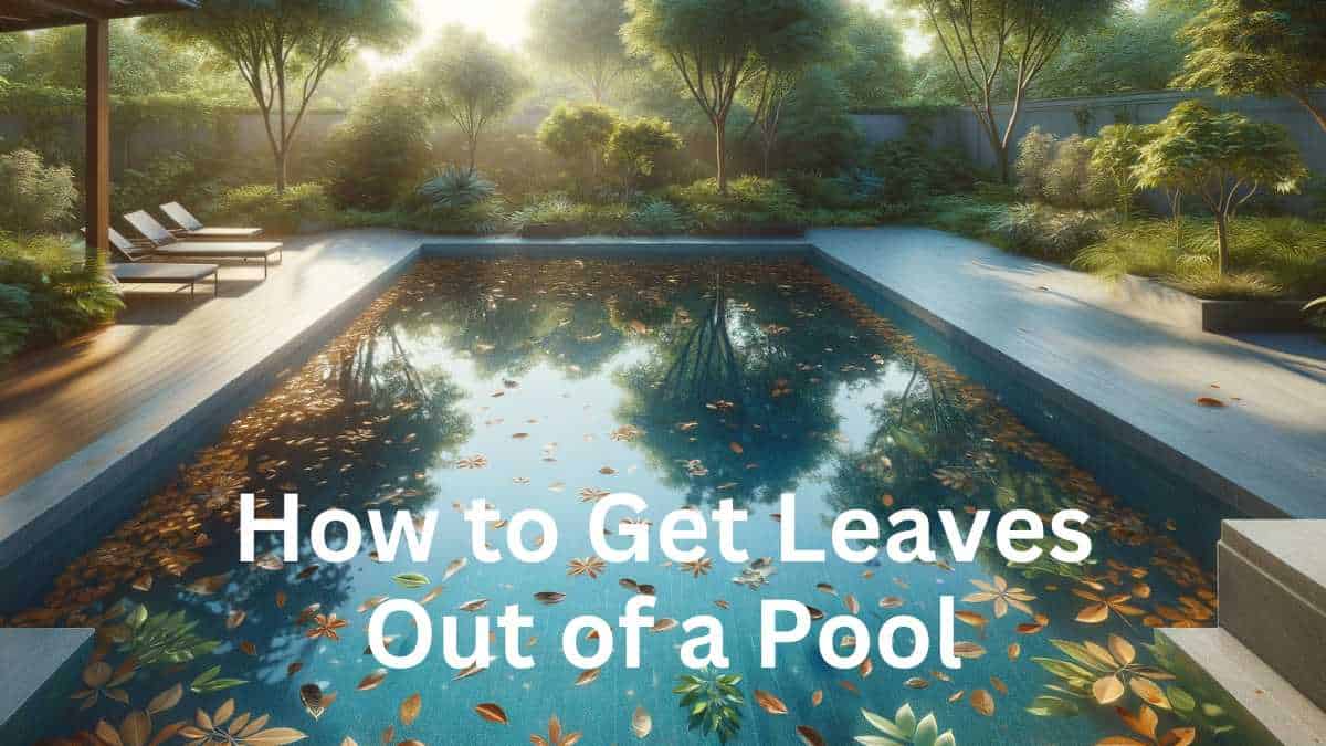 How to Get Leaves out of a Pool